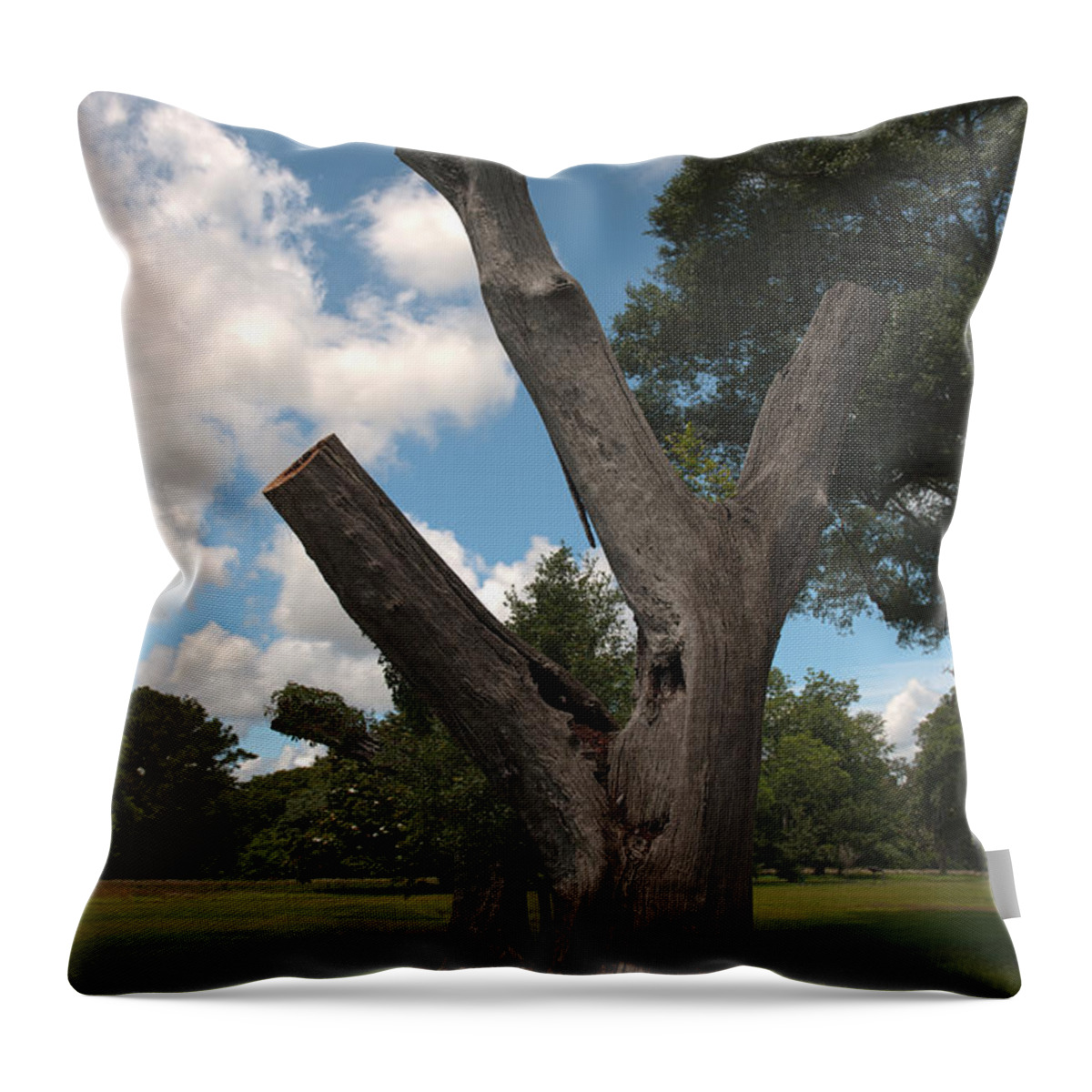 Charles Pinckney Throw Pillow featuring the photograph Hold On #2 by Dale Powell