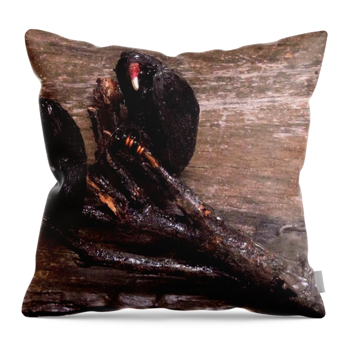 3d Throw Pillow featuring the mixed media 2 Hulking Vultures by Roger Swezey