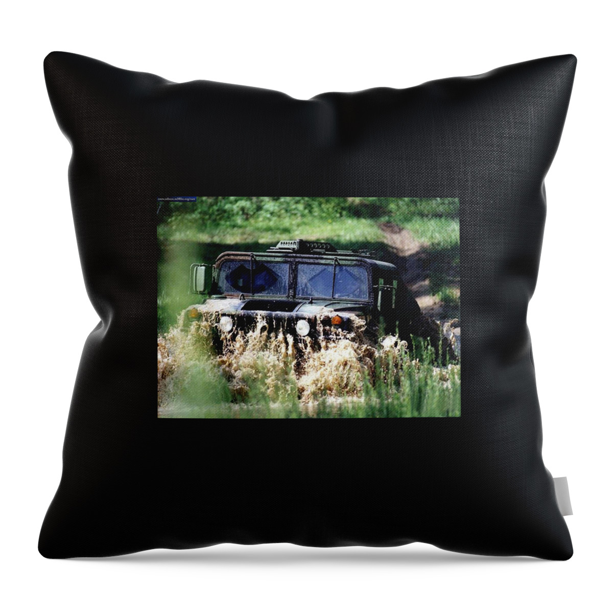 Hummer Throw Pillow featuring the photograph Hummer #2 by Jackie Russo