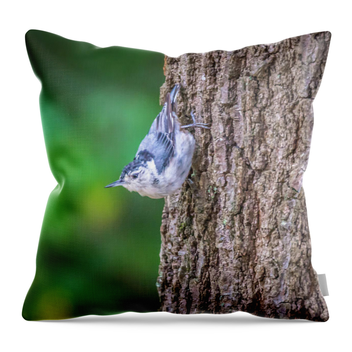 Nature Throw Pillow featuring the photograph Huthatch bird nut pecker in the wild on a tree #2 by Alex Grichenko