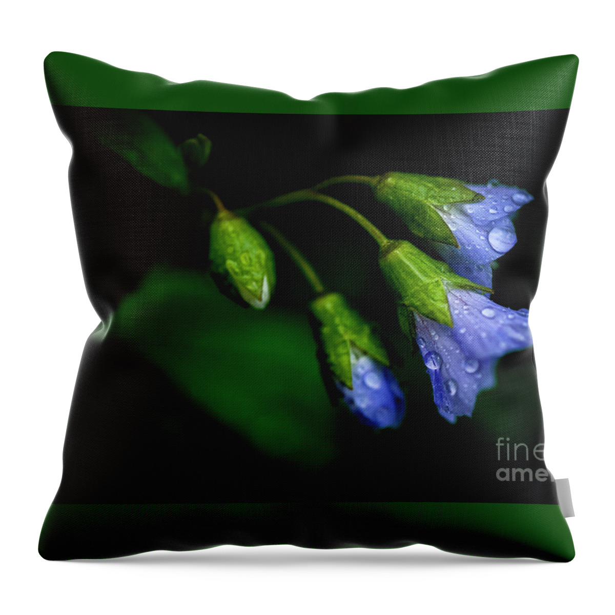Jacobs Ladder Throw Pillow featuring the photograph Jacobs Ladder #2 by Thomas R Fletcher