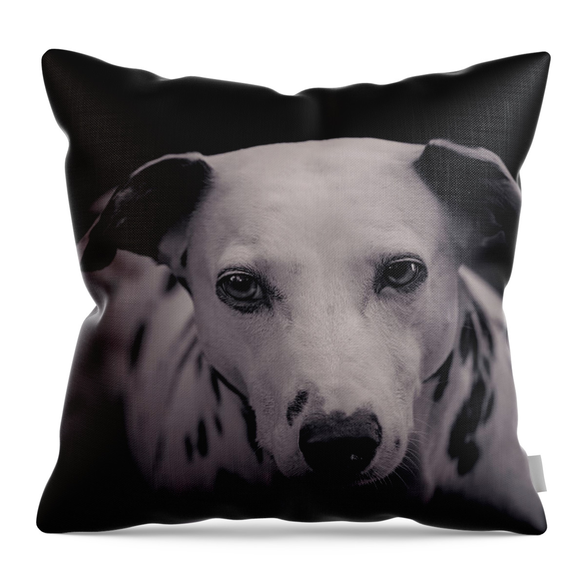 Animal Throw Pillow featuring the photograph Jolie #2 by Brian Cross