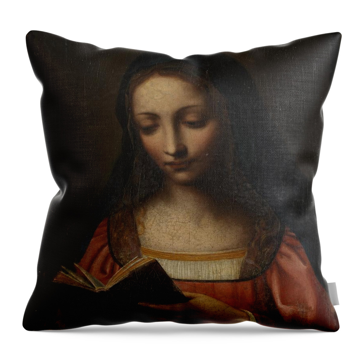 Lady Reading Throw Pillow featuring the painting Lady reading #2 by MotionAge Designs
