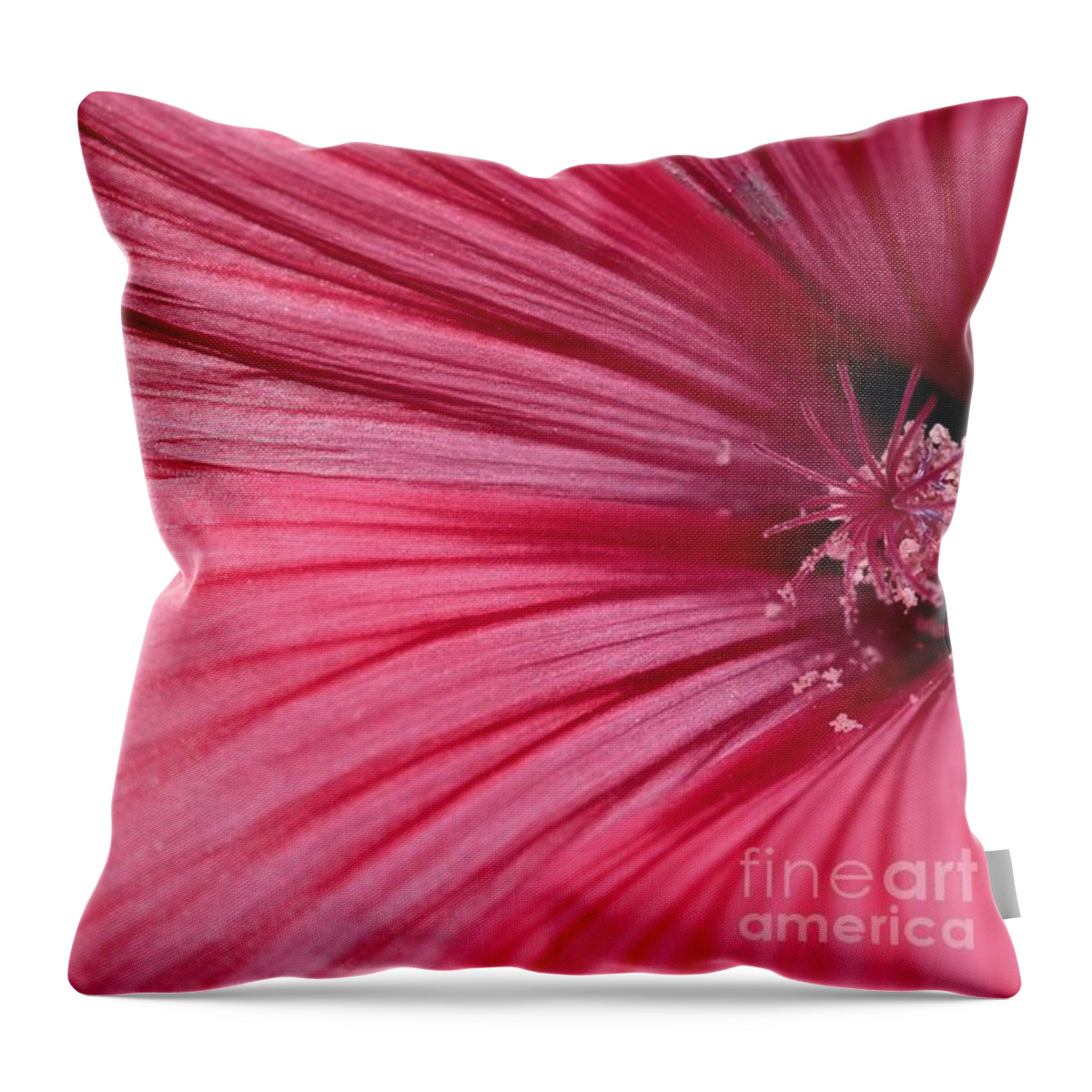 Mccombie Throw Pillow featuring the photograph Lavatera named Silver Cup #3 by J McCombie