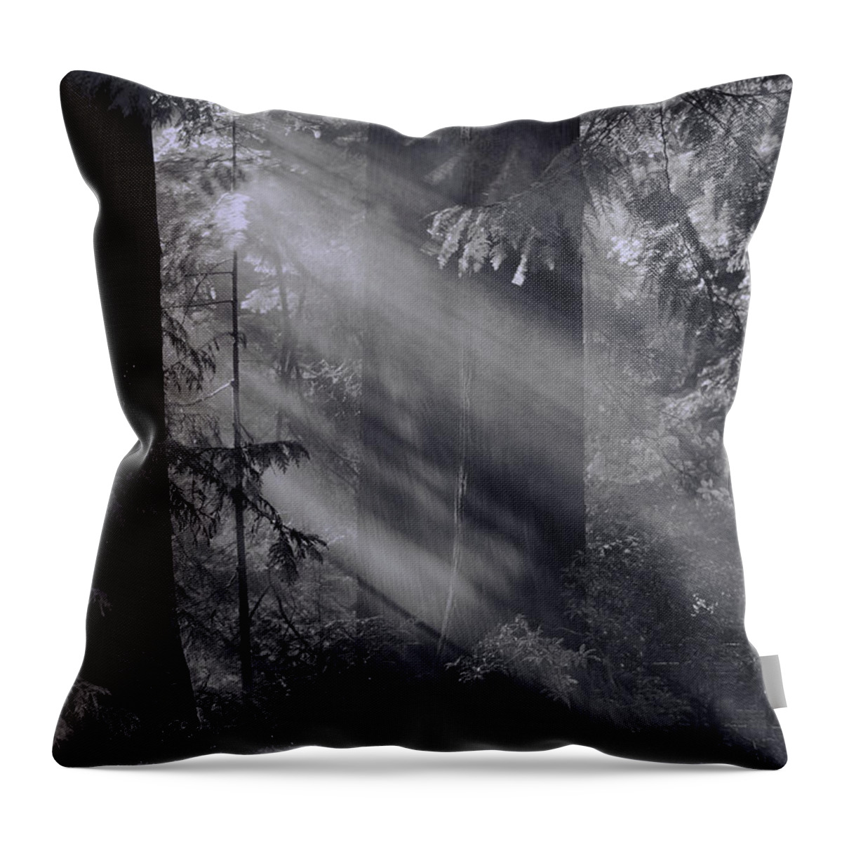  Throw Pillow featuring the photograph Let There Be Light #2 by Don Schwartz