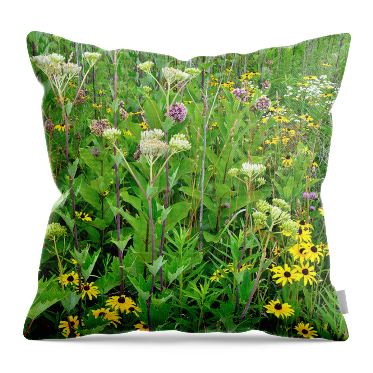 Butterfly Weed Throw Pillow featuring the photograph Marengo Ridge #2 by Ray Mathis