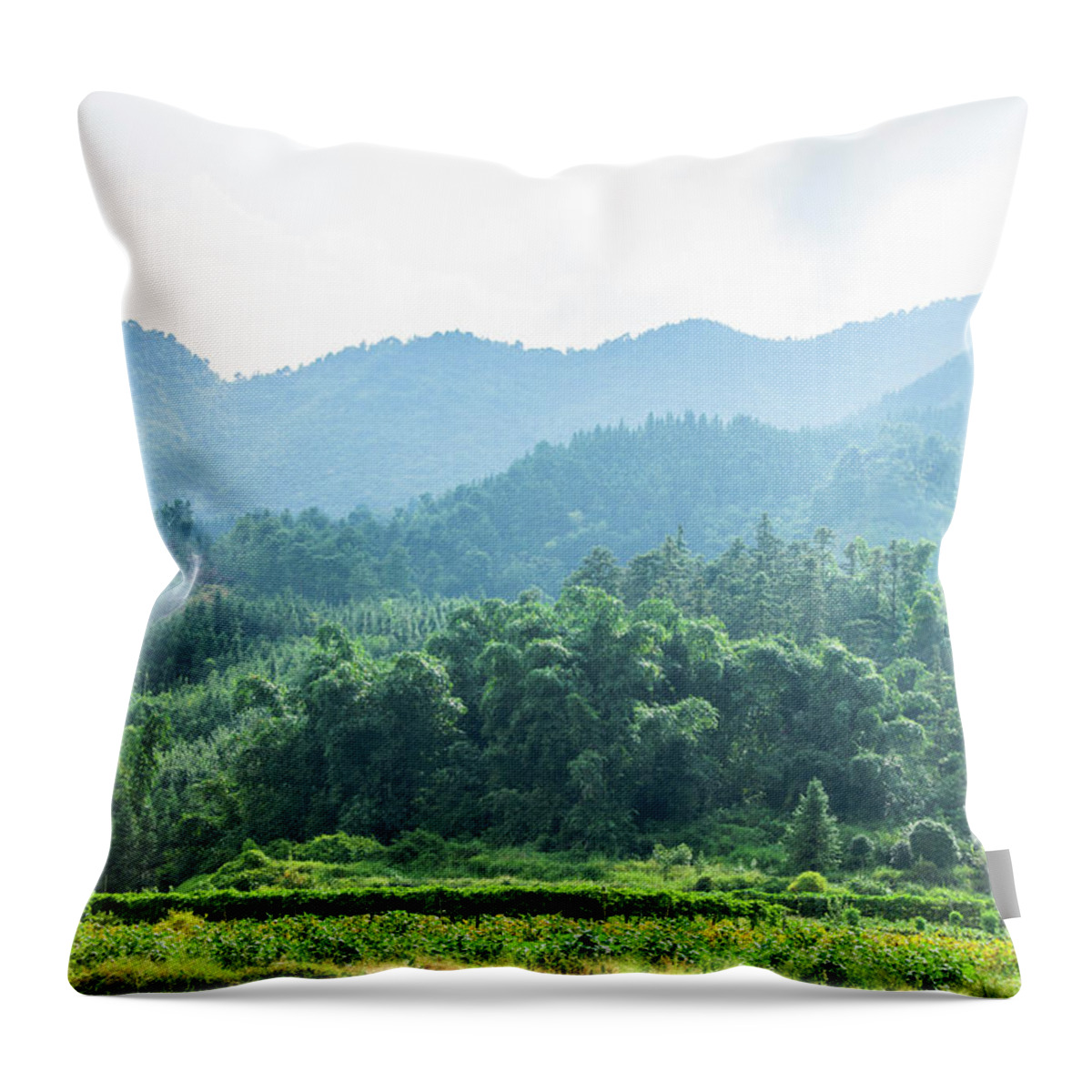 Scenery Throw Pillow featuring the photograph Mountains and rural scenery #2 by Carl Ning