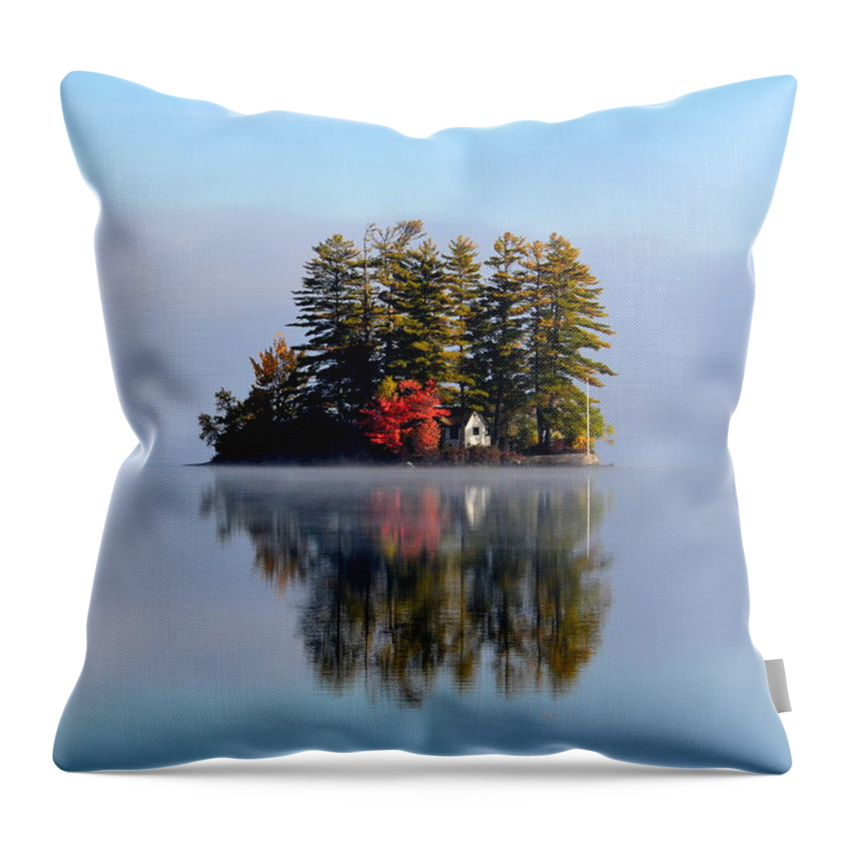 Reflection Throw Pillow featuring the photograph North Pond by Colleen Phaedra