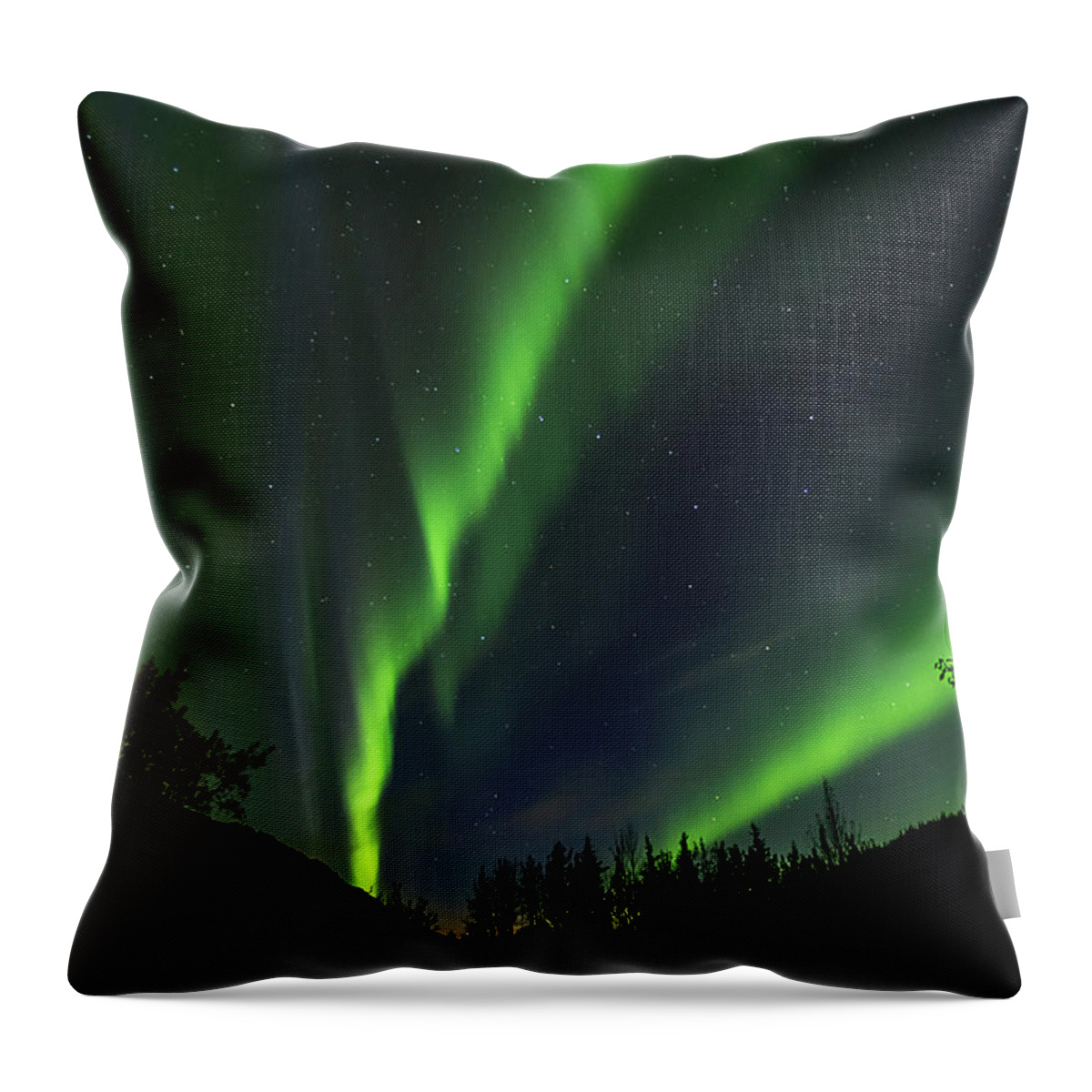 Denali Throw Pillow featuring the photograph Northern lights, aurora borealis at Kantishna Lodge in Denali National Park #2 by Brenda Jacobs