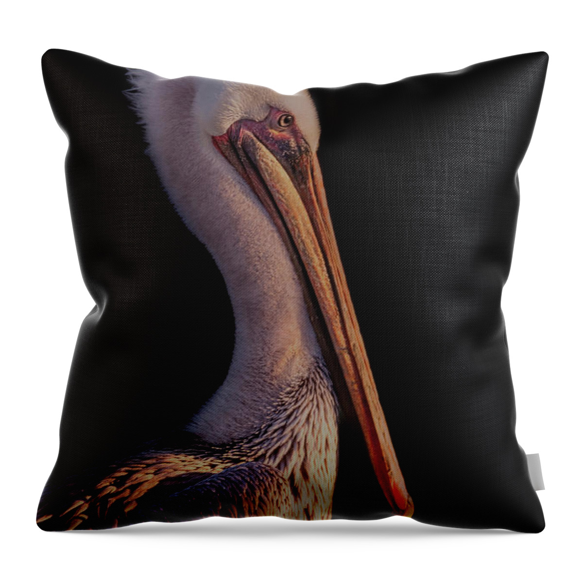 Animal Throw Pillow featuring the photograph Pelican #2 by Brian Cross