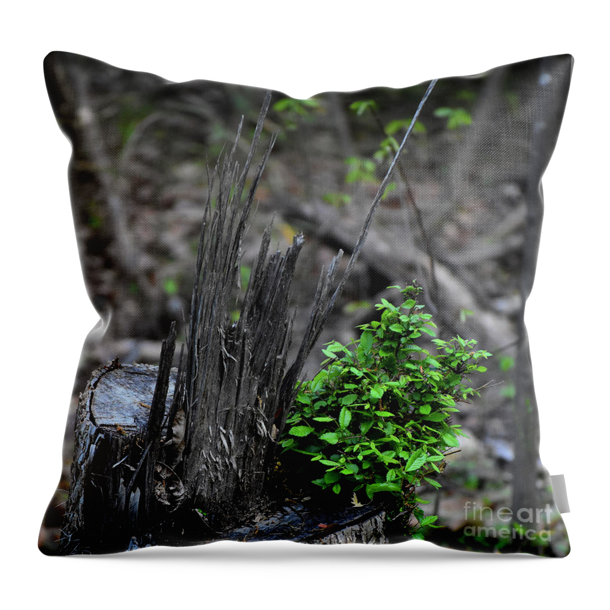 Nature Throw Pillow featuring the photograph Persistence #2 by Skip Willits