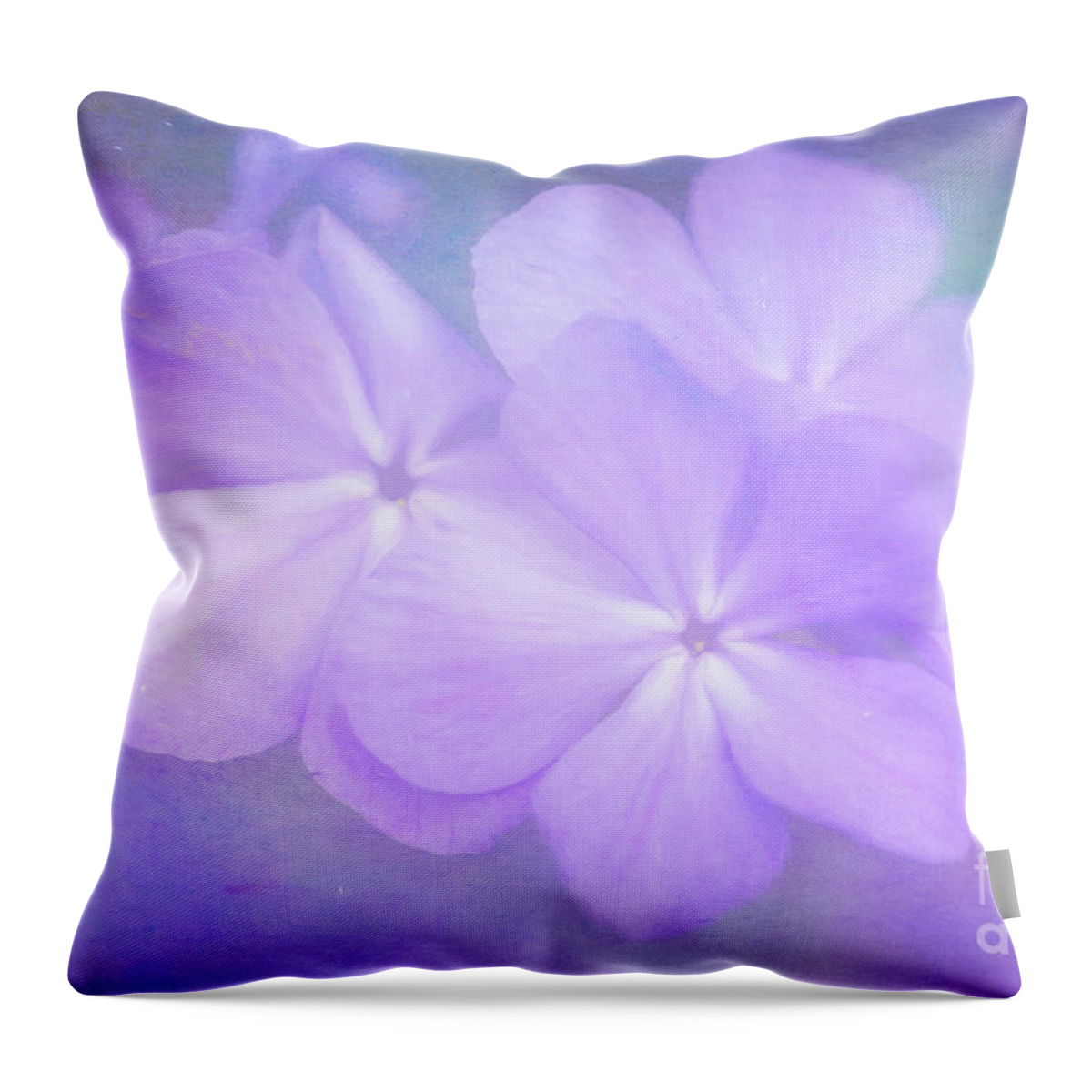 Phlox Throw Pillow featuring the photograph Phlox in the Evening Light by Anita Pollak