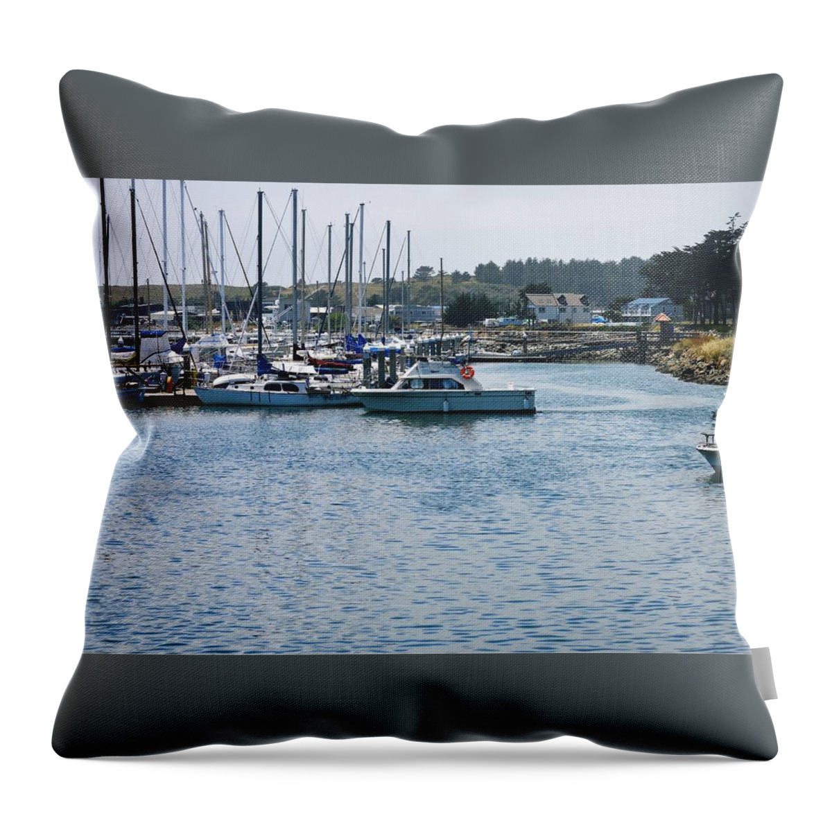 Lanscape Throw Pillow featuring the photograph Pillar Point Harbor #2 by Marian Jenkins