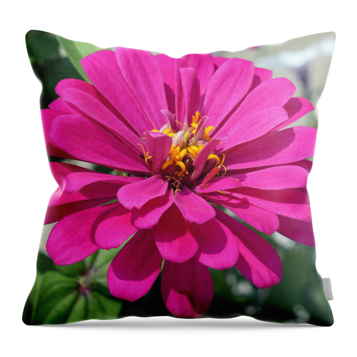 Pink Throw Pillow featuring the photograph Pink Zinnia #2 by Ellen Tully