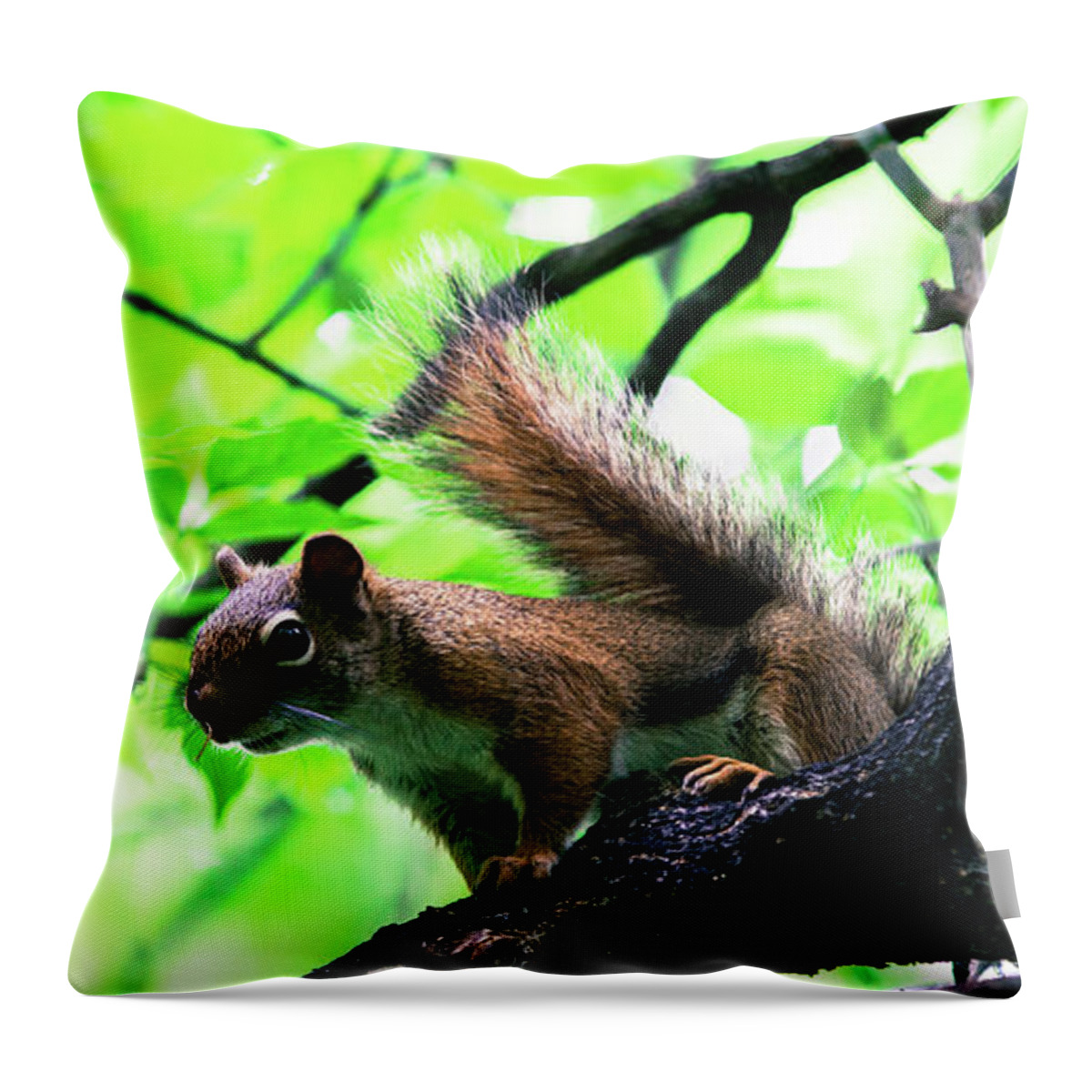 This Beauty Was Spotted In The Mint Forest Located In Southdale Throw Pillow featuring the photograph Prairie Country #4 by FANKS Photography