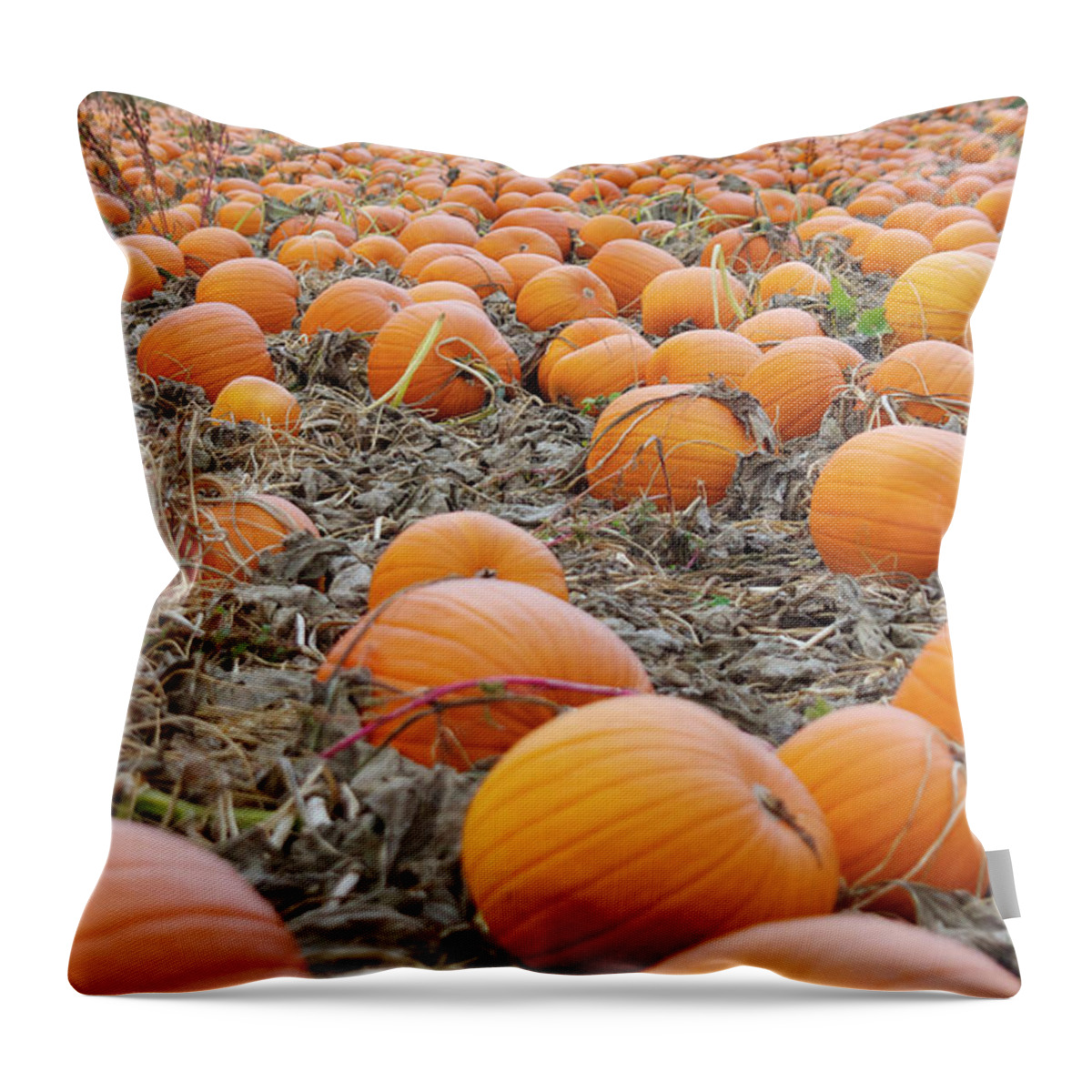 Farm Throw Pillow featuring the photograph Pumpkin Patch #2 by Bruce Block