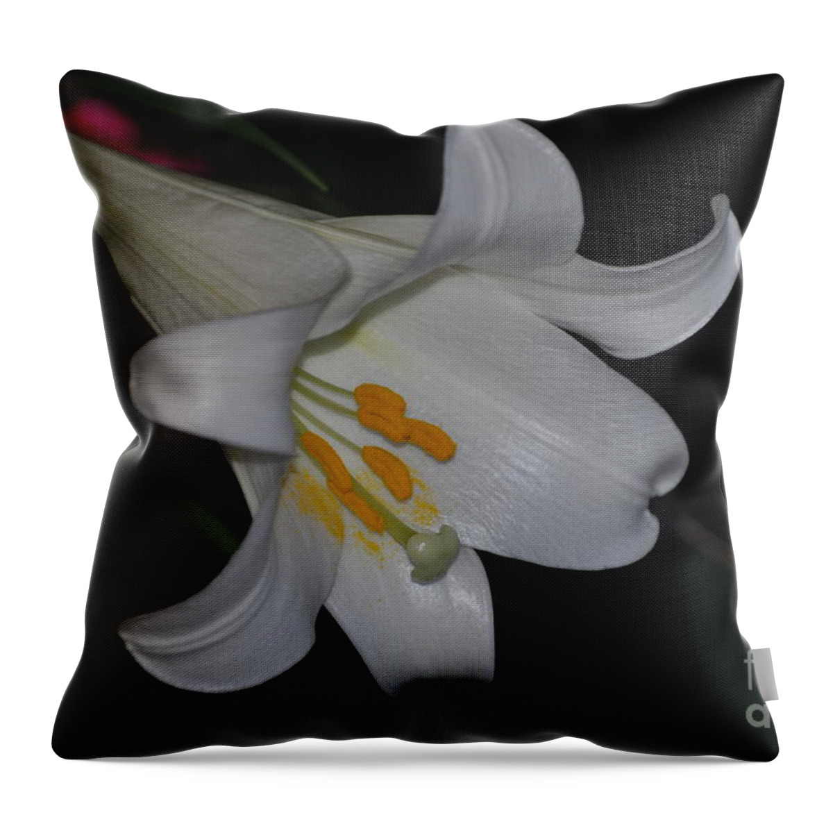 Lily Throw Pillow featuring the photograph Purity #2 by Nona Kumah