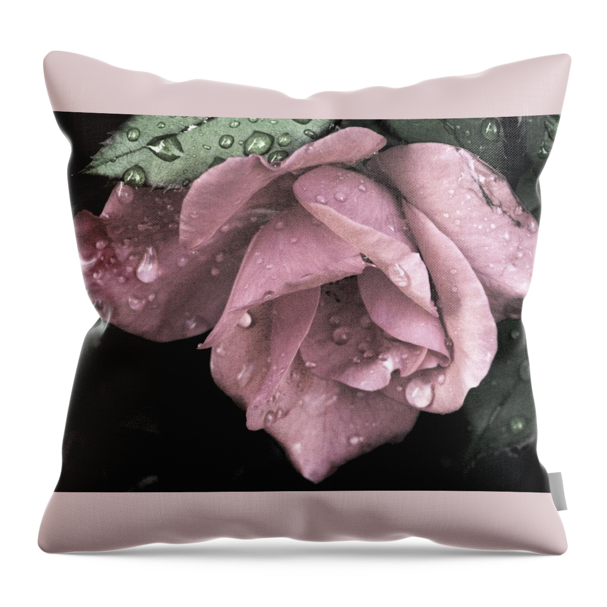 Mauve Roses Throw Pillow featuring the photograph Raindrops On Roses #2 by Angela Davies