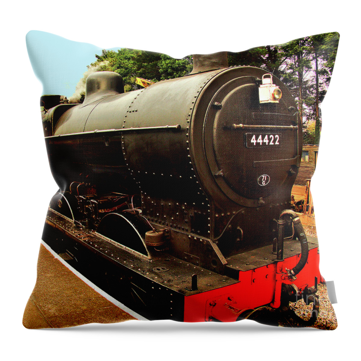 Railways Throw Pillow featuring the photograph Ready To Go #2 by Richard Denyer