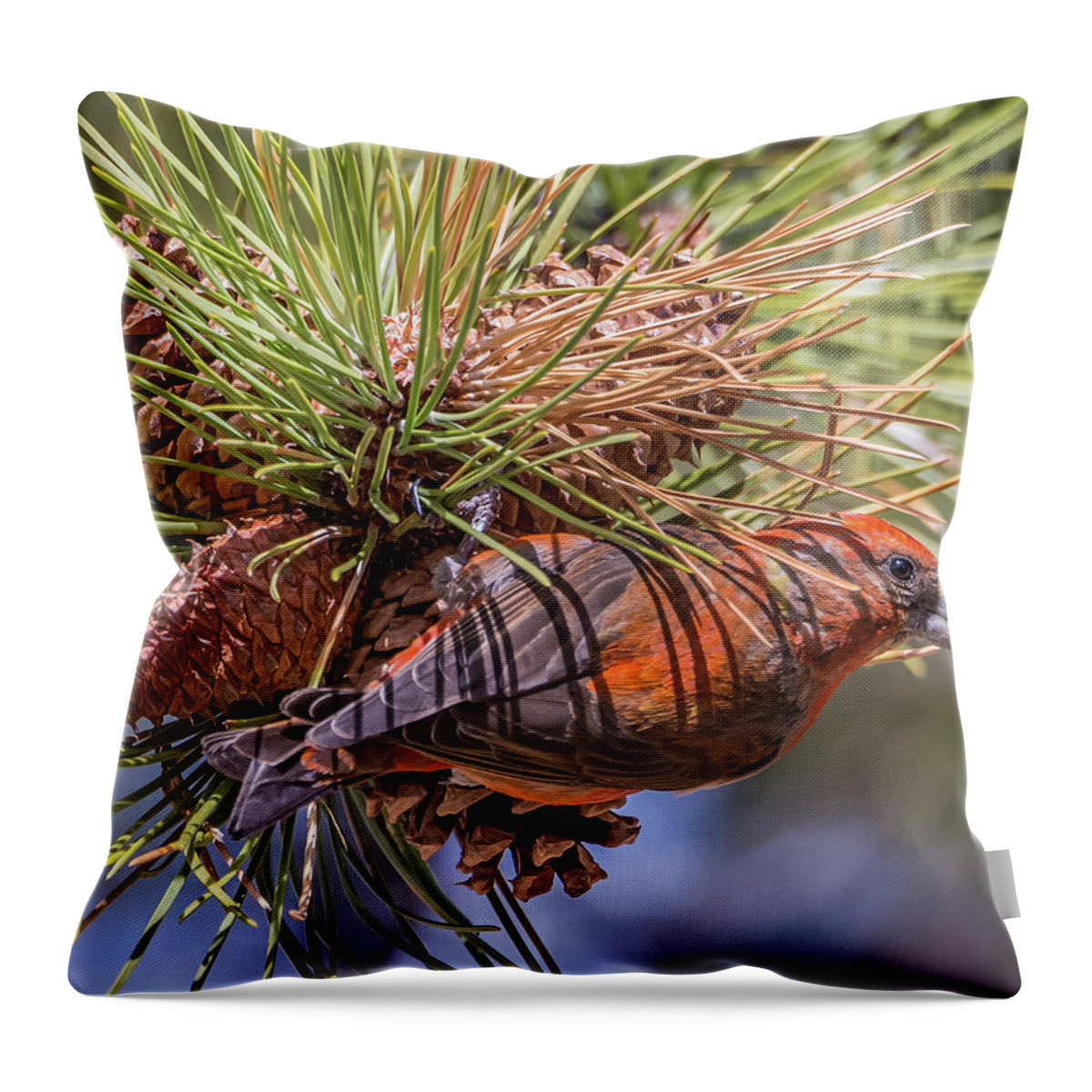 Nature Throw Pillow featuring the photograph Red Crossbill #2 by Michael Cunningham
