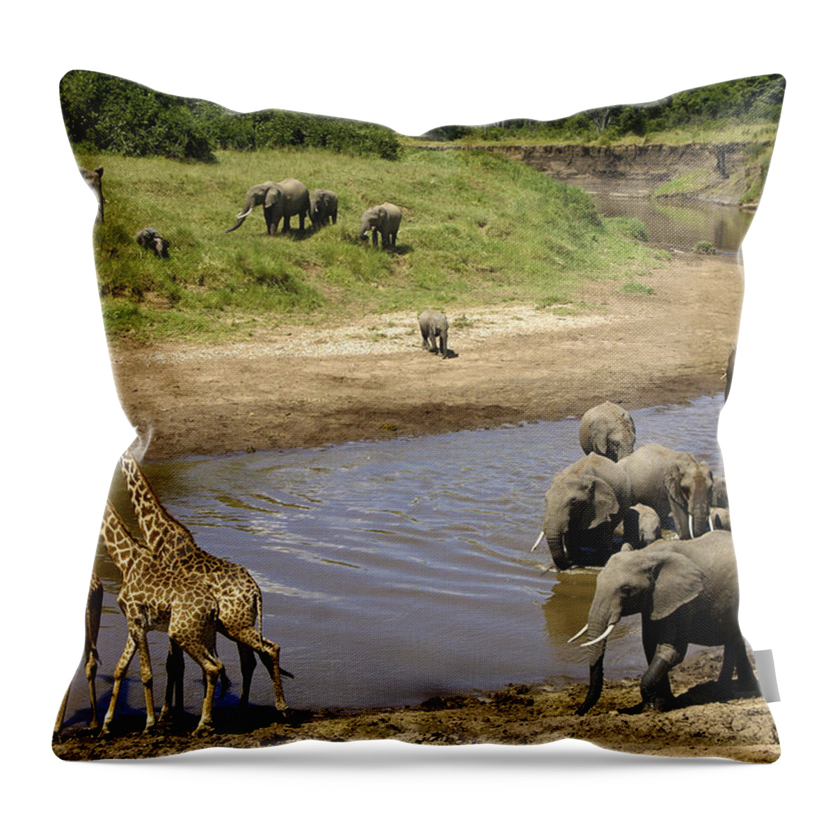 Africa Throw Pillow featuring the photograph River Crossing #2 by Michele Burgess