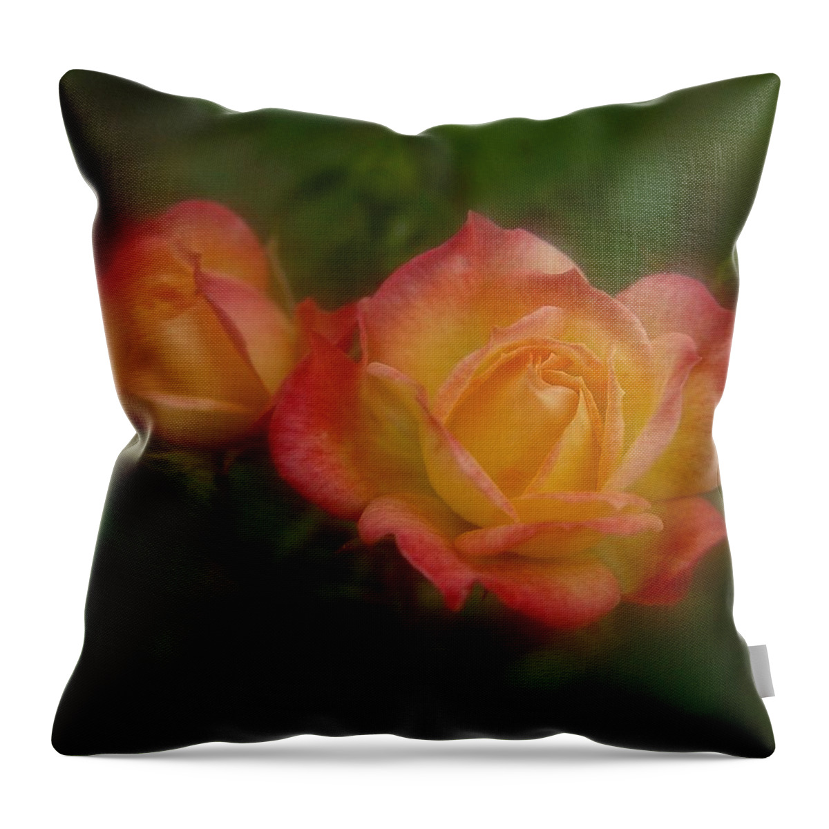 Two Roses Throw Pillow featuring the photograph 2 Roses by Richard Cummings