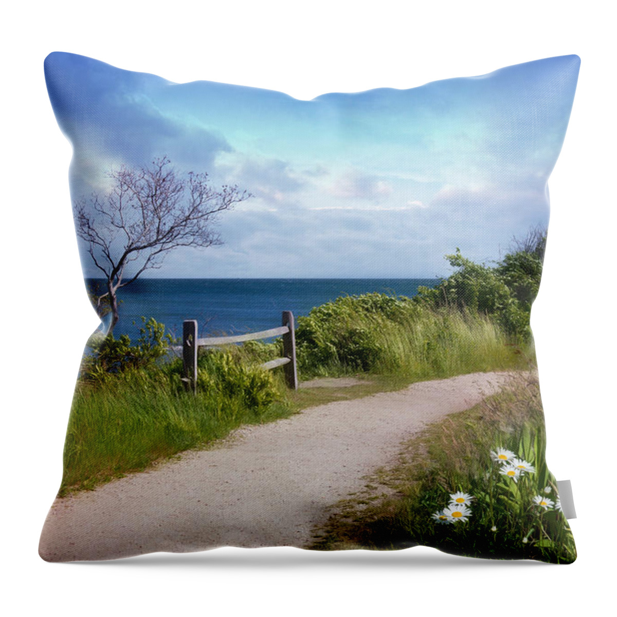 Sea Throw Pillow featuring the photograph Seaview #2 by Robin-Lee Vieira