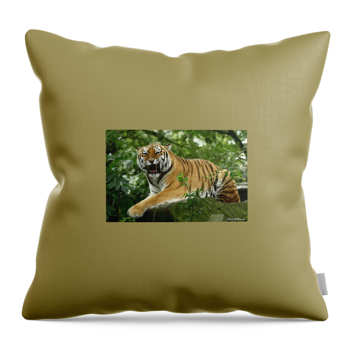 Siberian Tiger Throw Pillow featuring the photograph Siberian Tiger #2 by Jackie Russo