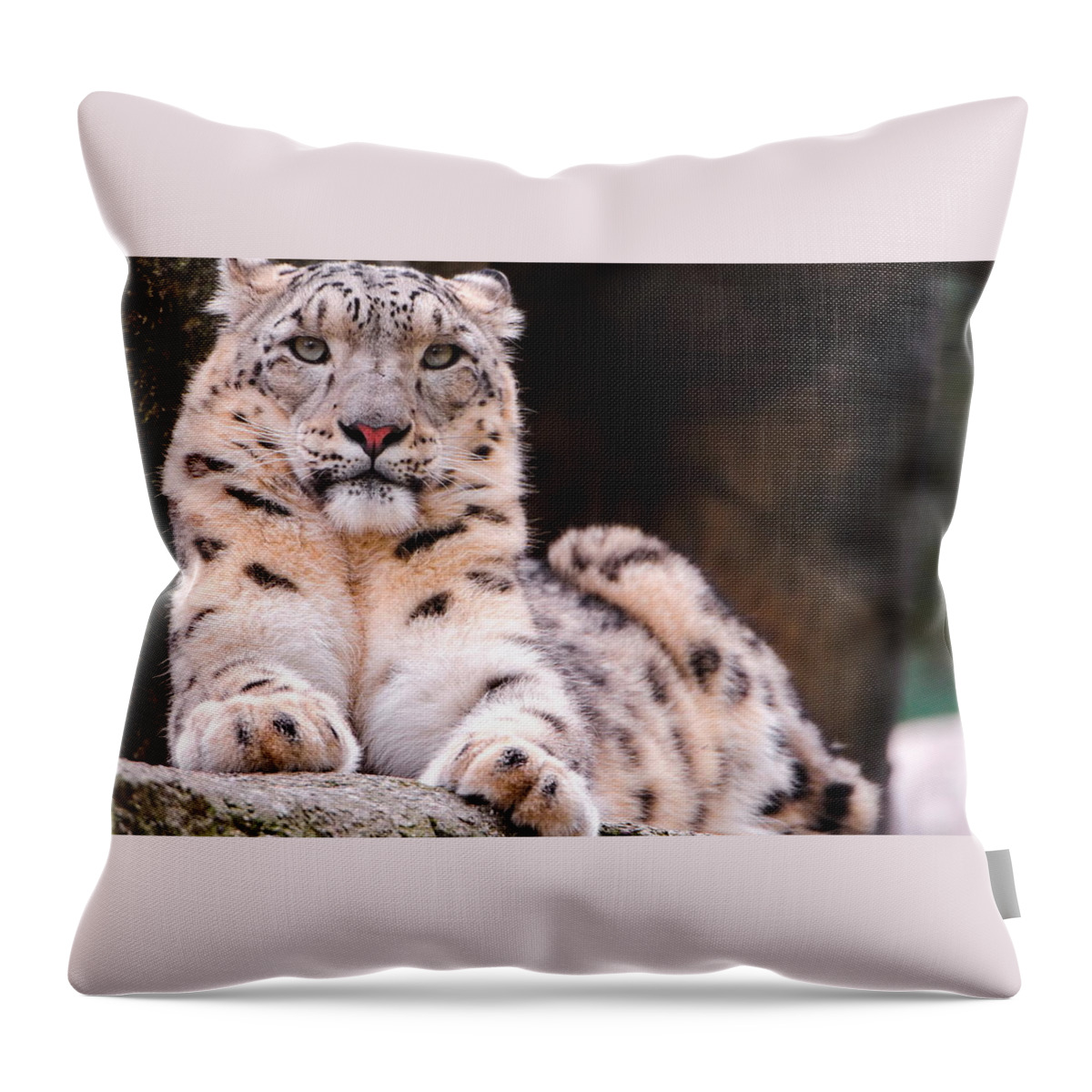 Snow Leopard Throw Pillow featuring the photograph Snow Leopard #2 by Jackie Russo