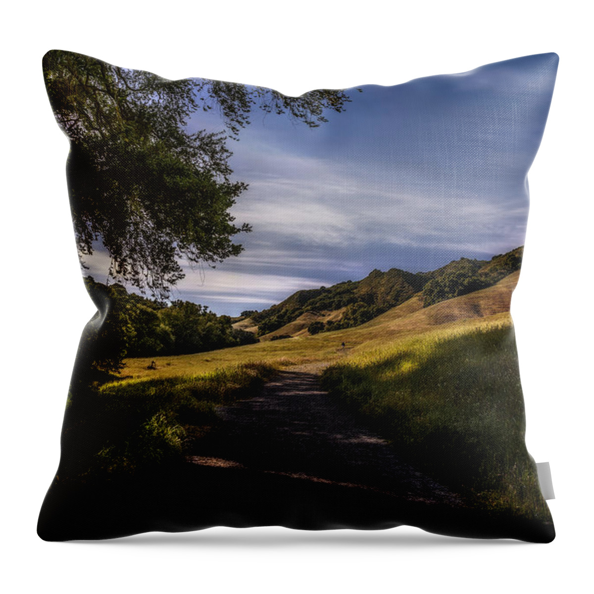 Trampas Throw Pillow featuring the photograph Solitude #2 by Don Hoekwater Photography