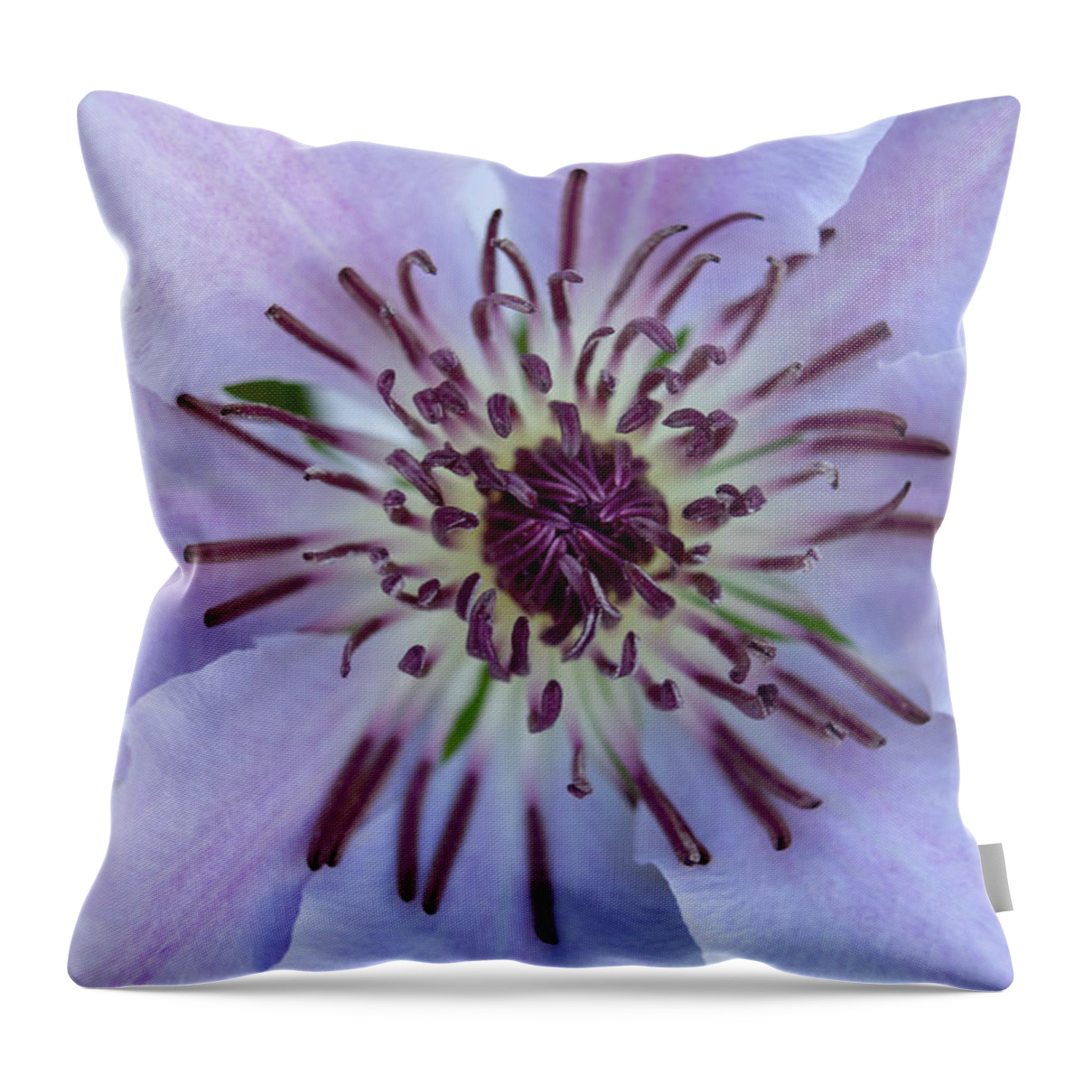  Throw Pillow featuring the photograph Spring #2 by Brian Jones