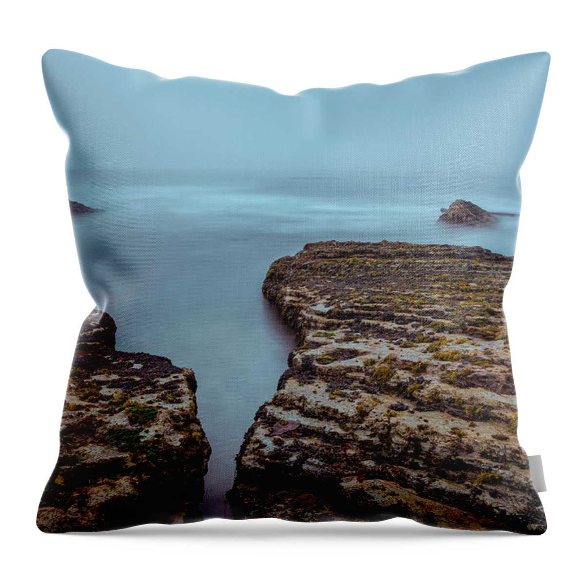 Landscape Throw Pillow featuring the photograph Stand Still #2 by Jonathan Nguyen