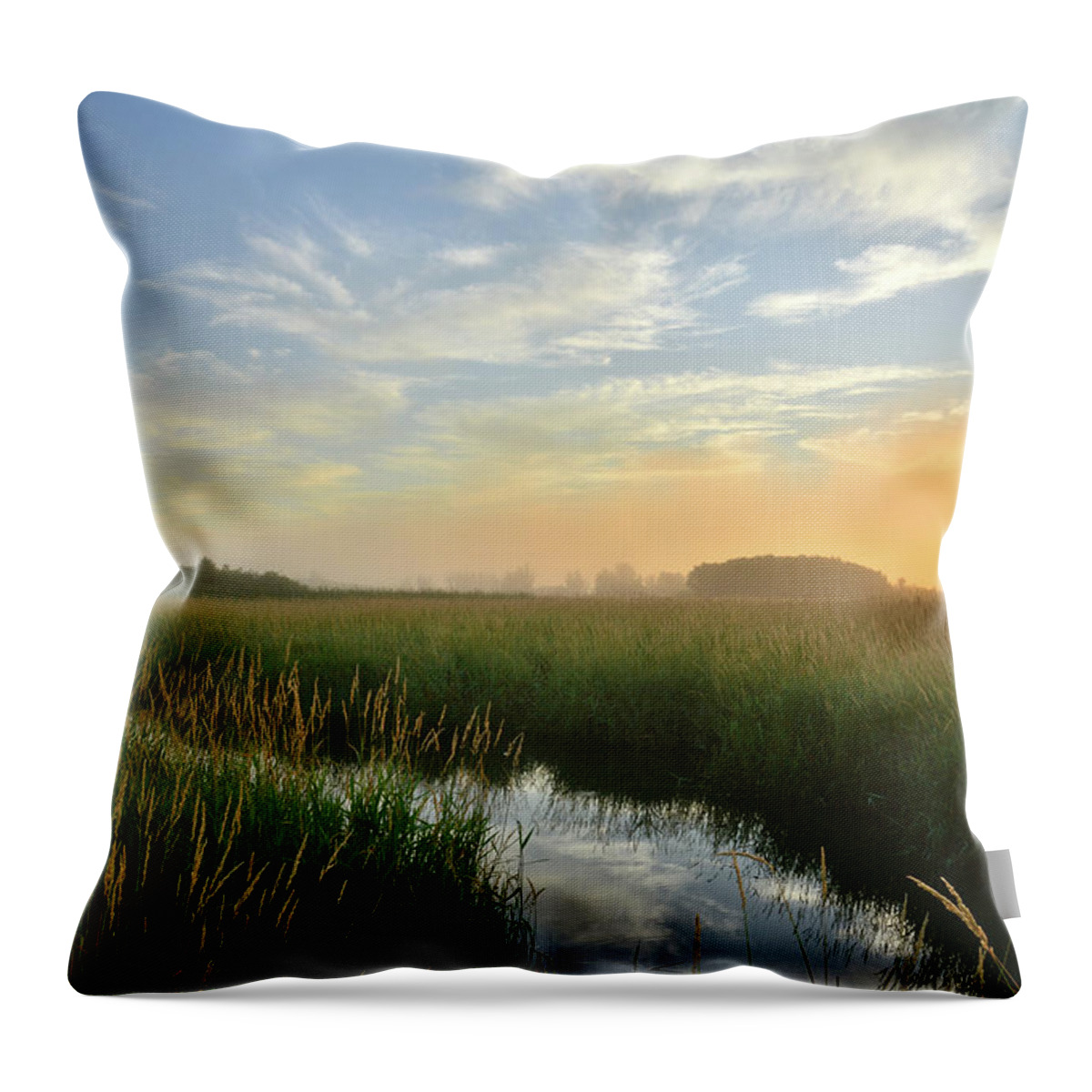 Illinois Throw Pillow featuring the photograph Sunrise at Glacial Park #2 by Ray Mathis