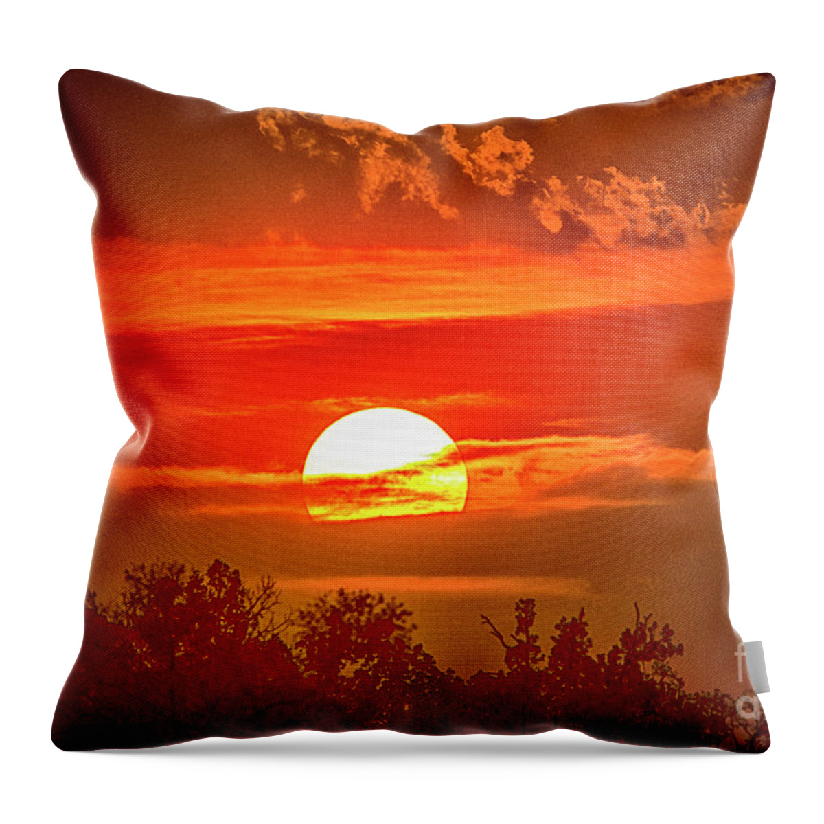 Sunset Throw Pillow featuring the photograph Sunset #2 by Pravine Chester