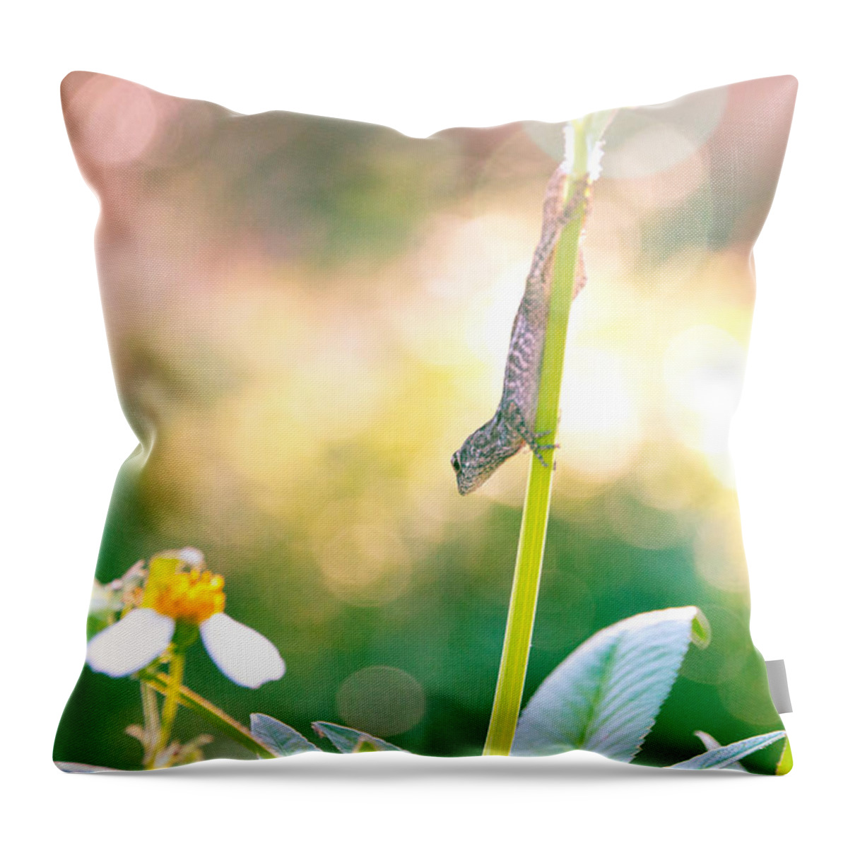 Animal Throw Pillow featuring the photograph Suspended headlong lizard #2 by Amanda Mohler