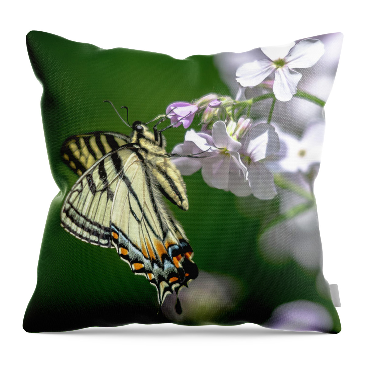 Cheryl Baxter Photography Throw Pillow featuring the photograph Swallowtail Butterfly #2 by Cheryl Baxter