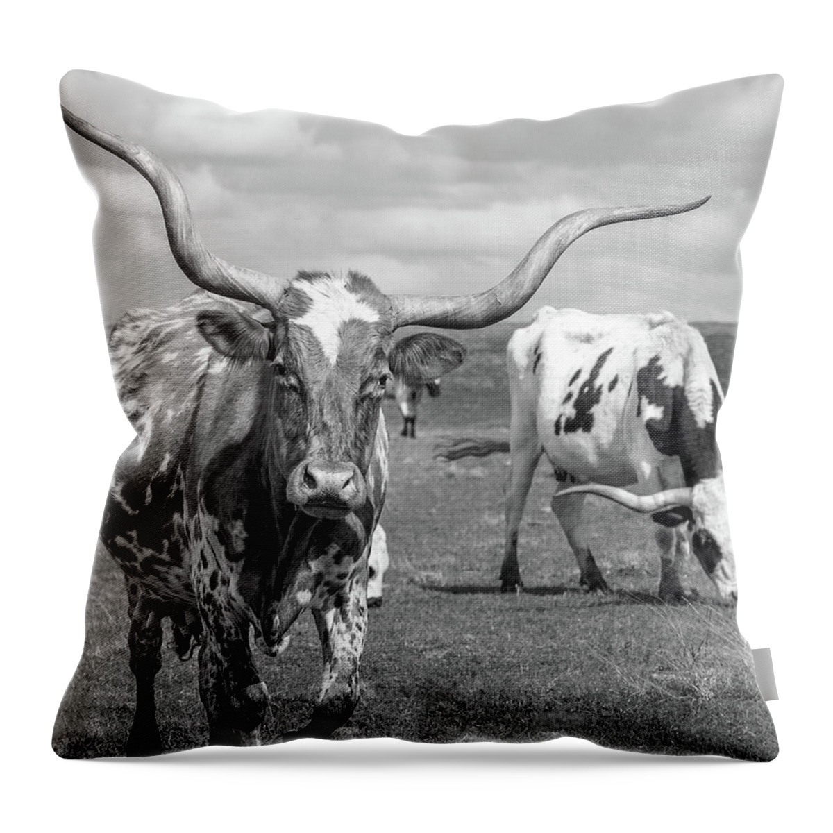 Texas Longhorns Throw Pillow featuring the photograph Texas Longhorns #2 by Robert Bellomy