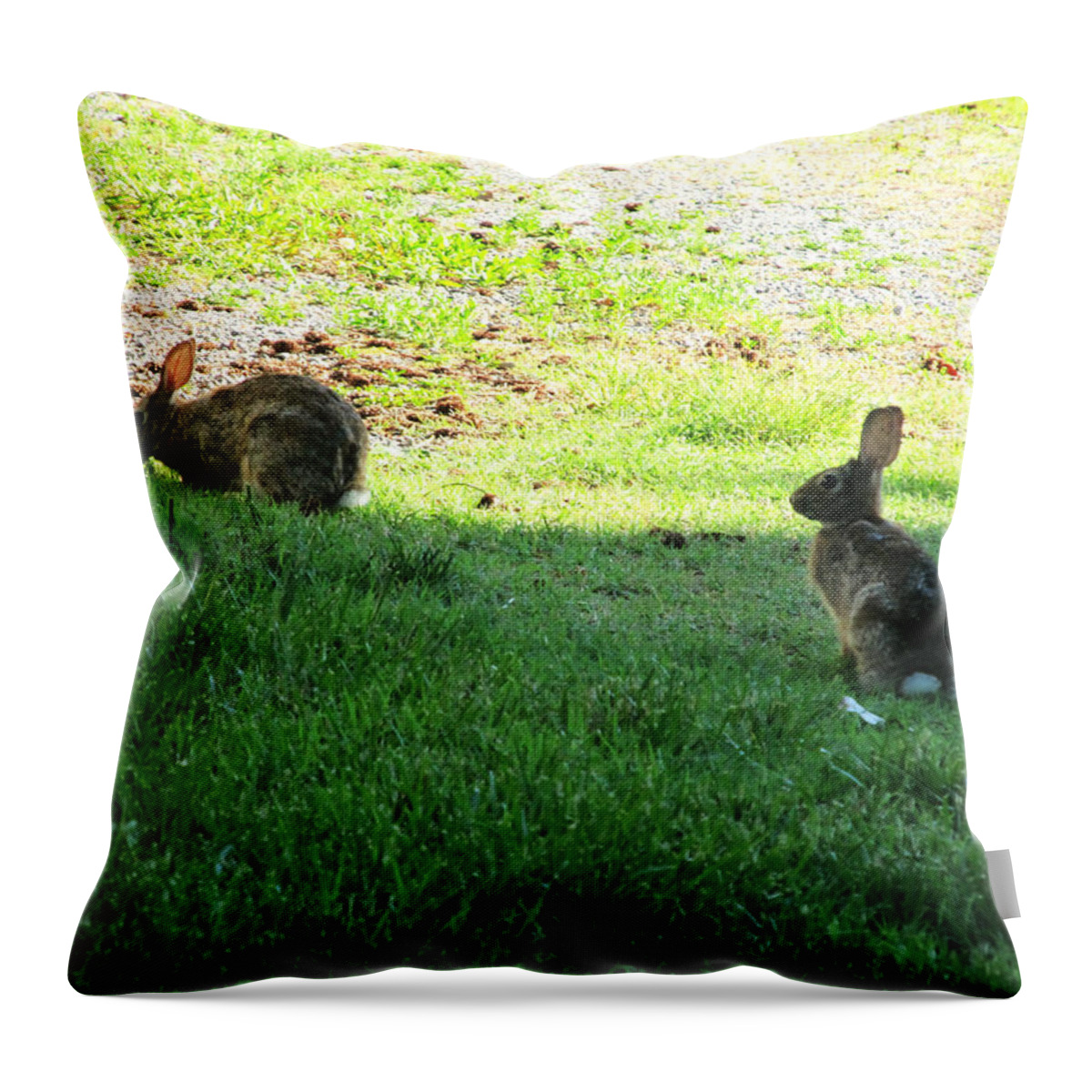 Rabbit Throw Pillow featuring the photograph The Rabbit Dance #3 by Digital Art Cafe