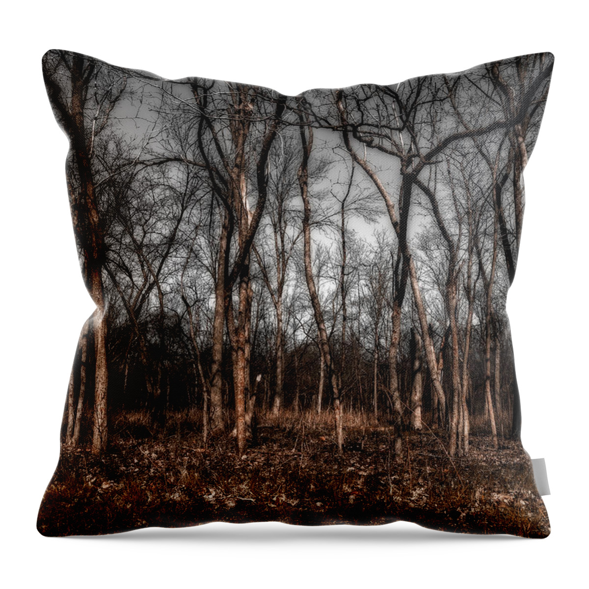 Area Throw Pillow featuring the photograph Trees #2 by Peter Lakomy