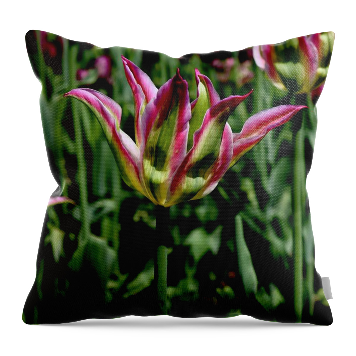 Tulip Throw Pillow featuring the photograph Tulip #2 by Sarah Lilja