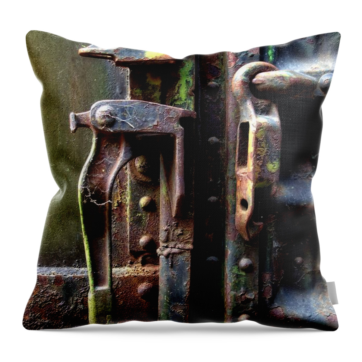 Newel Hunter Throw Pillow featuring the photograph Unhinged #2 by Newel Hunter