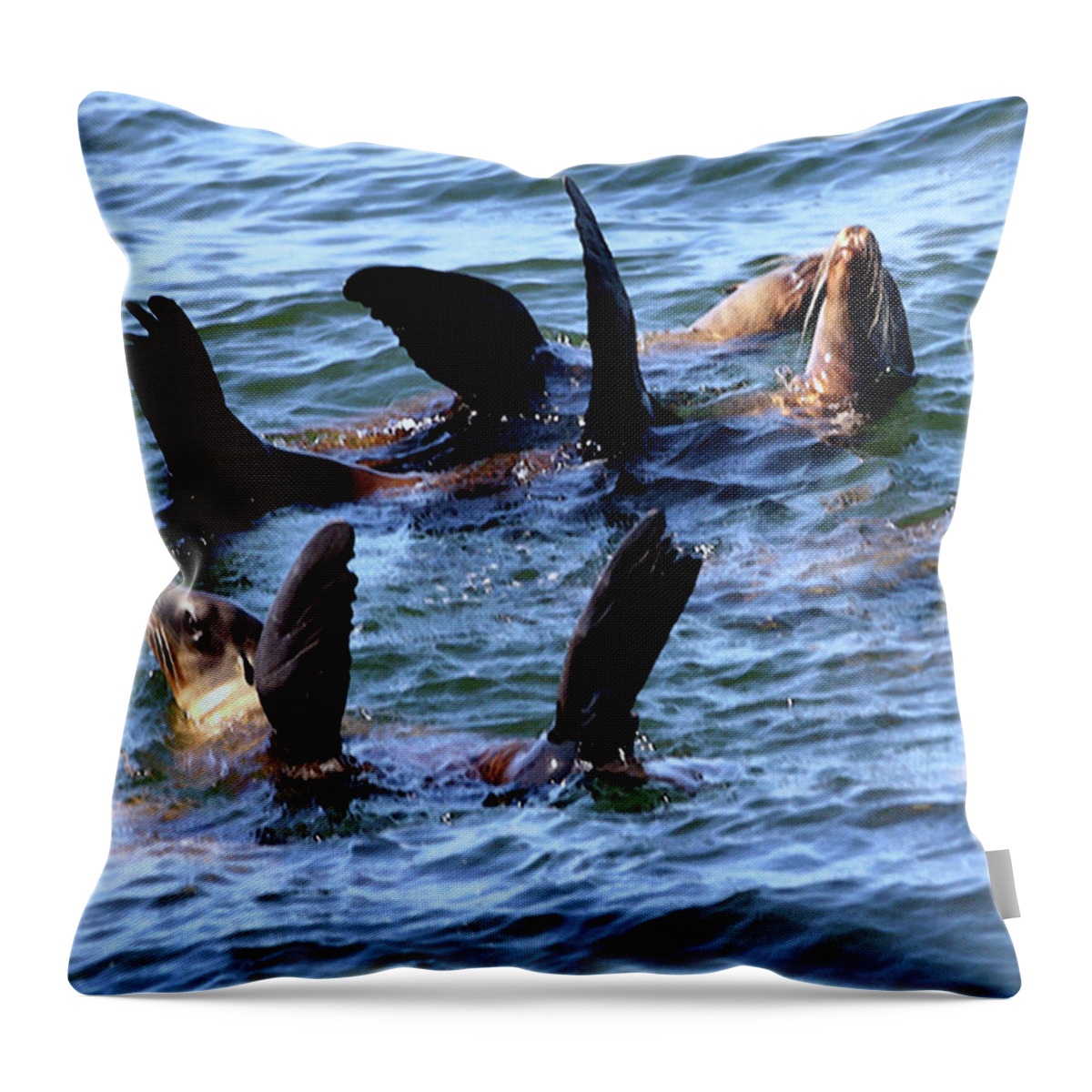 Seals Throw Pillow featuring the photograph Water Ballet by Terry Fiala