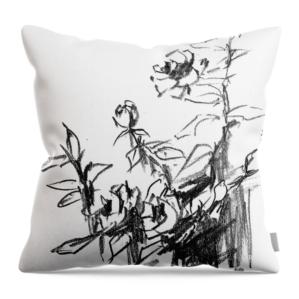 Roses Throw Pillow featuring the drawing Wild roses #2 by Hae Kim