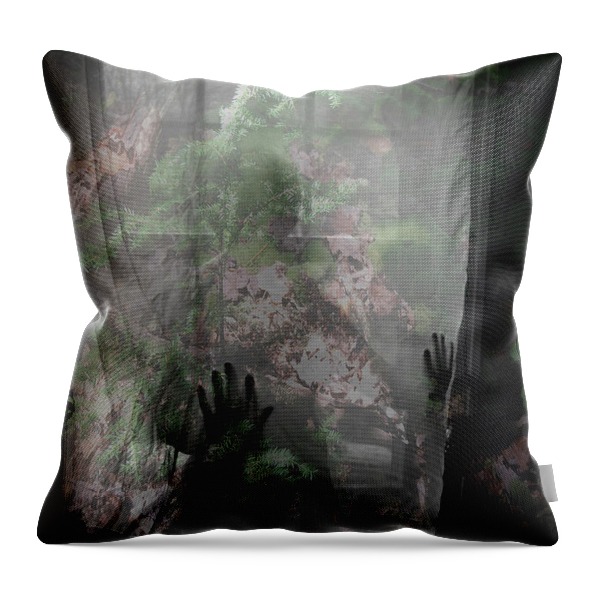 Nudes Throw Pillow featuring the photograph Window Wonder #2 by Trish Hale