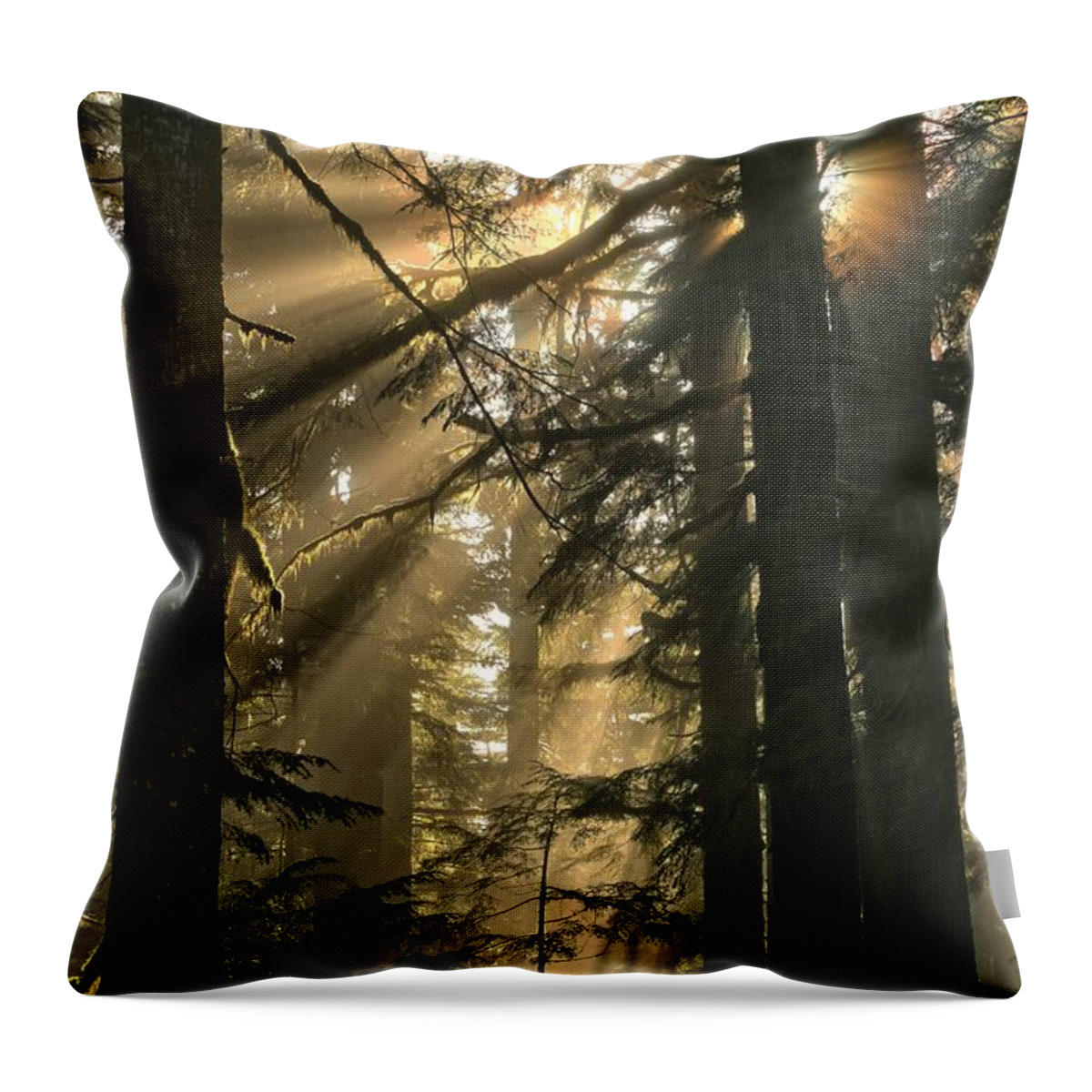 Prism Throw Pillow featuring the photograph Sunburst Rainbow by Adam Jewell