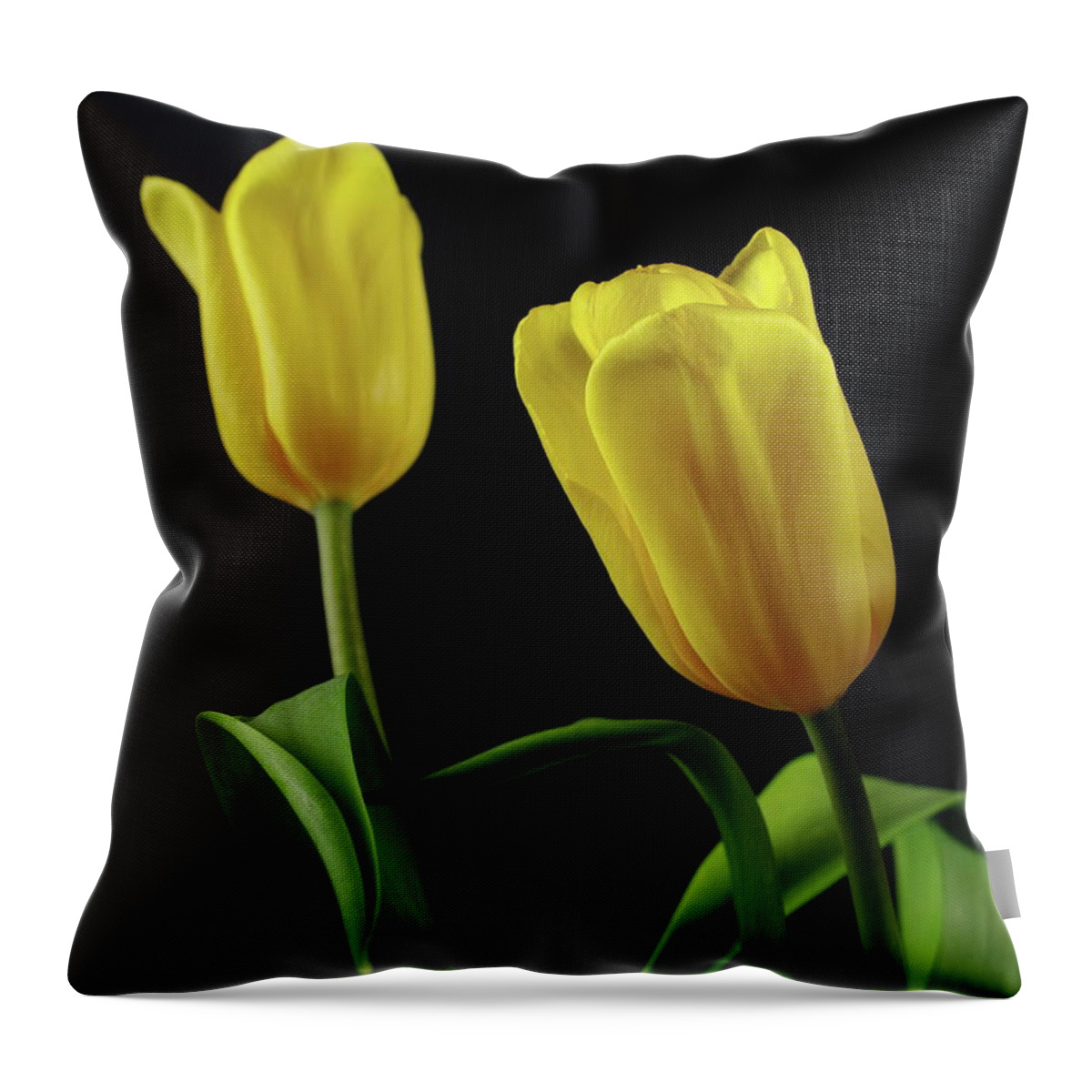 Tulip Throw Pillow featuring the photograph Yellow Tulips by Dariusz Gudowicz