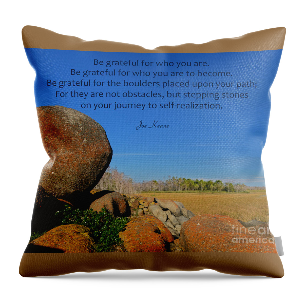 Gratitude Quotes Throw Pillow featuring the photograph 20- Be Grateful by Joseph Keane