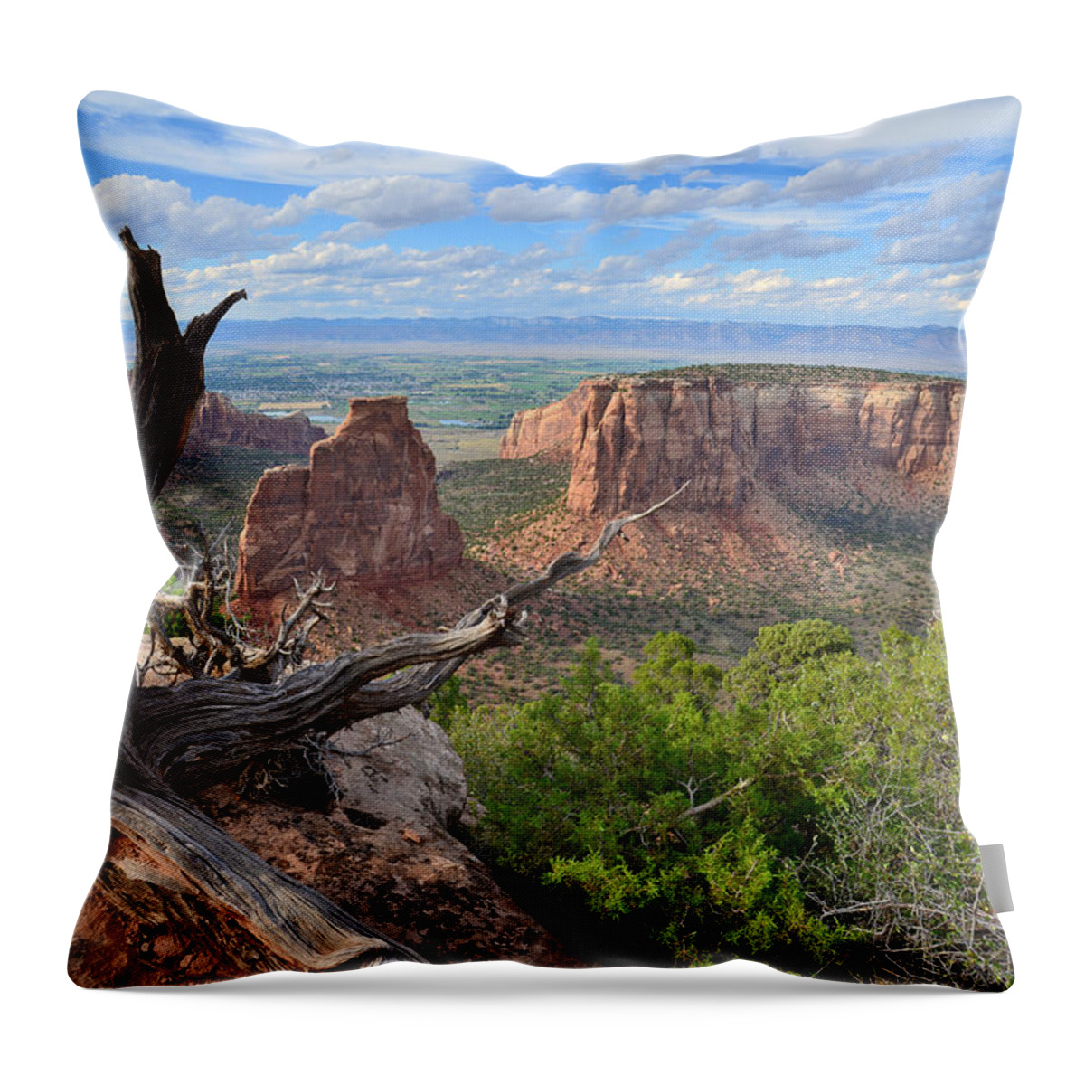 Colorado National Monument Throw Pillow featuring the photograph Colorado National Monument #20 by Ray Mathis
