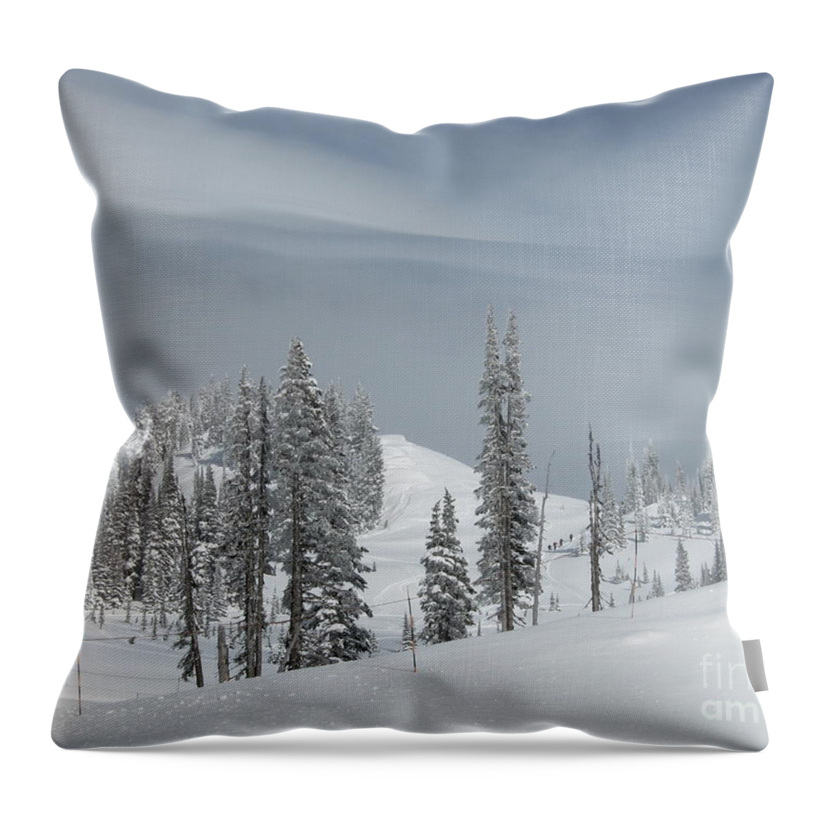 Snow Throw Pillow featuring the photograph Untitled #22 by John Huntsman