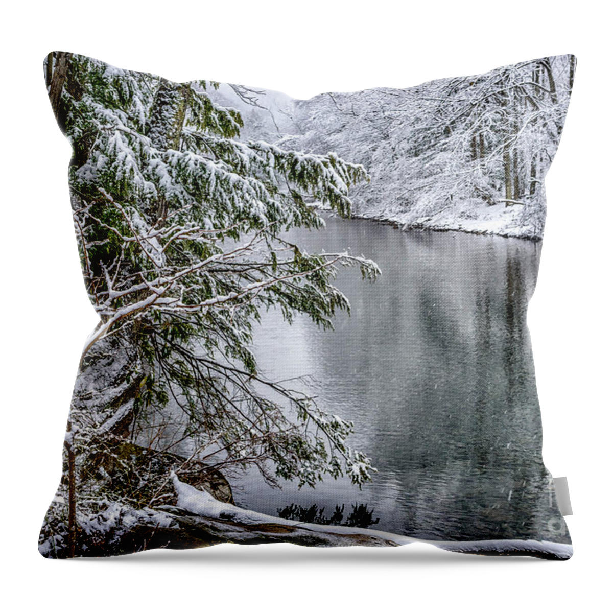 Cranberry River Throw Pillow featuring the photograph Winter along Cranberry River #20 by Thomas R Fletcher